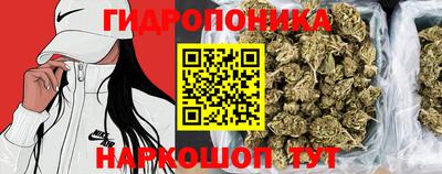 ECSTASY Заволжье