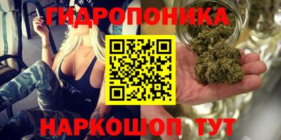 spice Заводоуковск