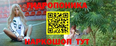 spice Заводоуковск