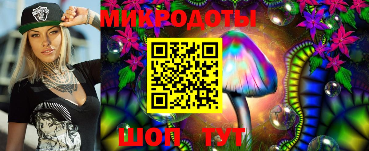 Псилоцибиновые грибы Psilocybe  Вход с VPN  Барабинск 